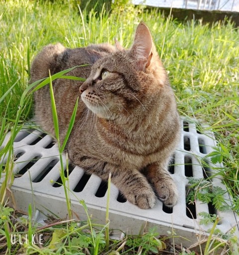 beauty_20250504160527