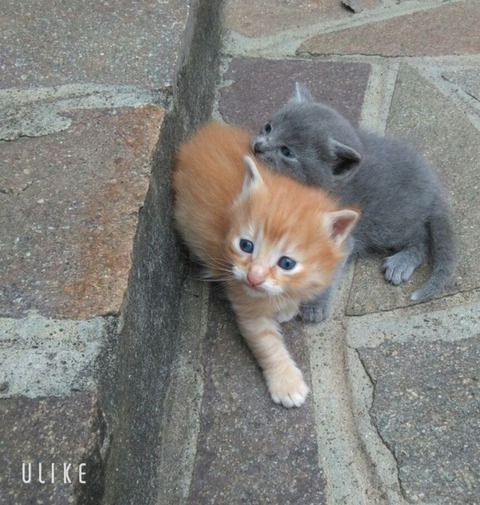 beauty_20250127142127