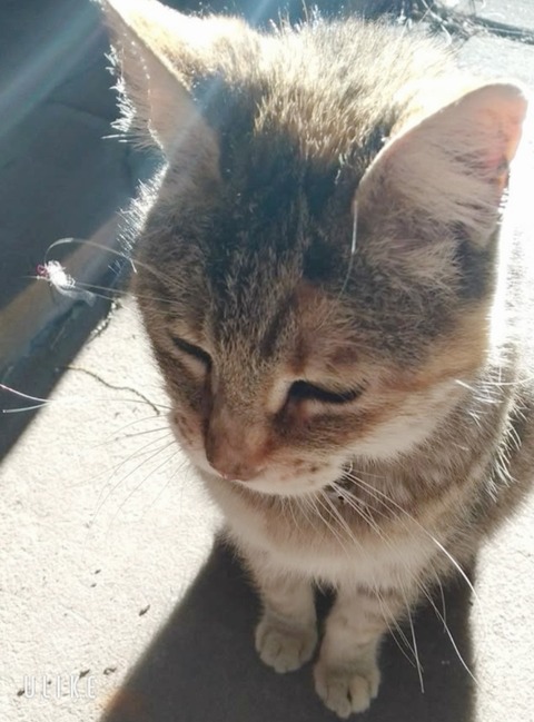 beauty_20250217145103