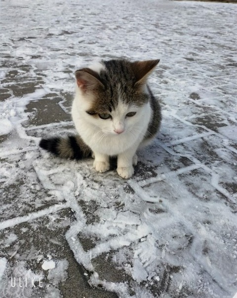 beauty_20250304165326