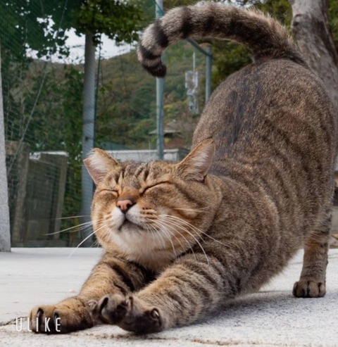 beauty_20250824165507