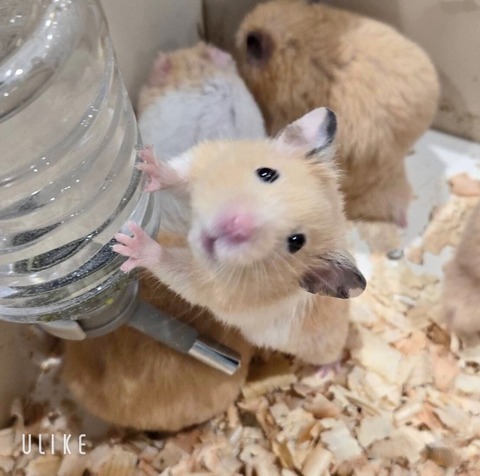 beauty_20250509172539