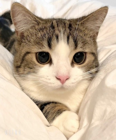 beauty_20250623162223