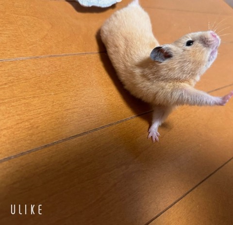 beauty_20250228114130