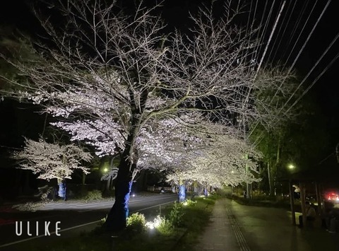 beauty_20250409163227