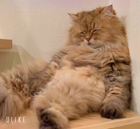 beauty_20250630145808