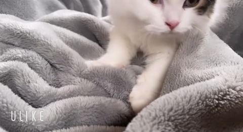 beauty_20241203181100