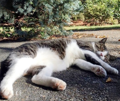 beauty_20250302160934