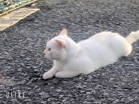 beauty_20251004142015