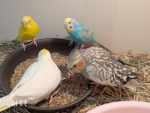 beauty_20250507132033