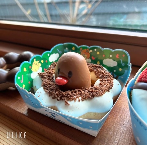 beauty_20241210150816