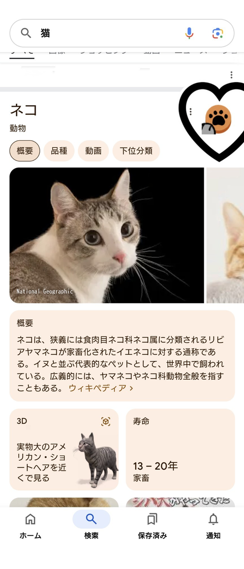 Screenshot_20250110-131555~3