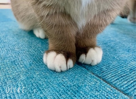 beauty_20251217160016