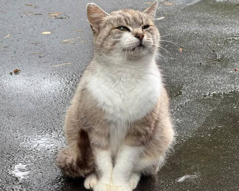 Screenshot_20260406-132854