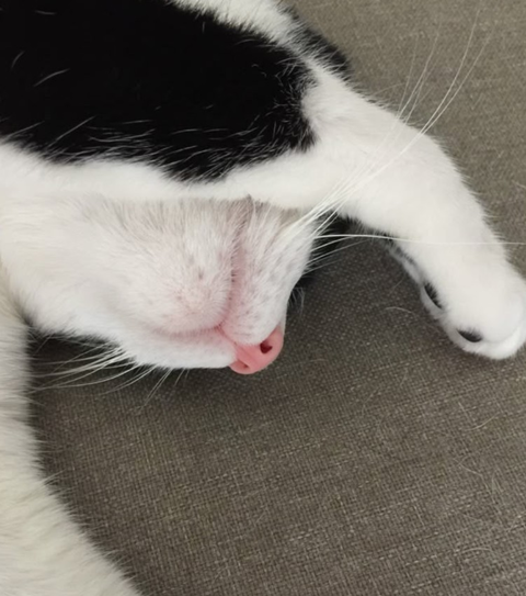 Screenshot_20260308-161948