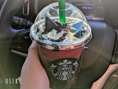 beauty_20251027171836