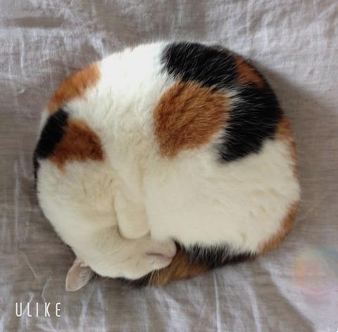 beauty_20250308144417