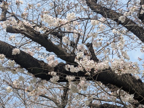 PXL_20250330_021602976