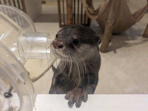 PXL_20250902_083308982