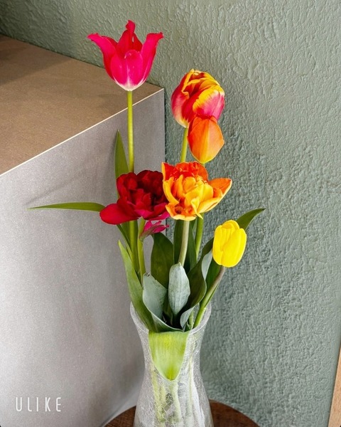 beauty_20250308150003