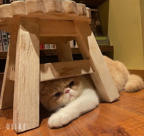 beauty_20250208171443