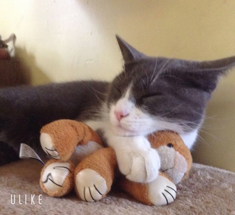 beauty_20250603172505