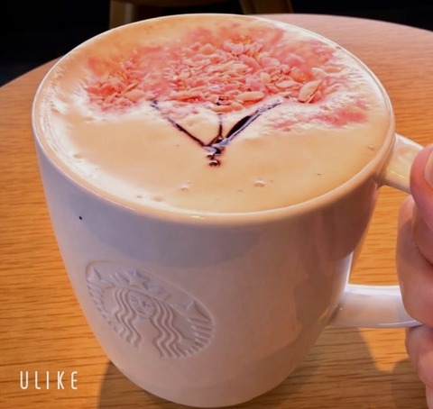 beauty_20260224143409