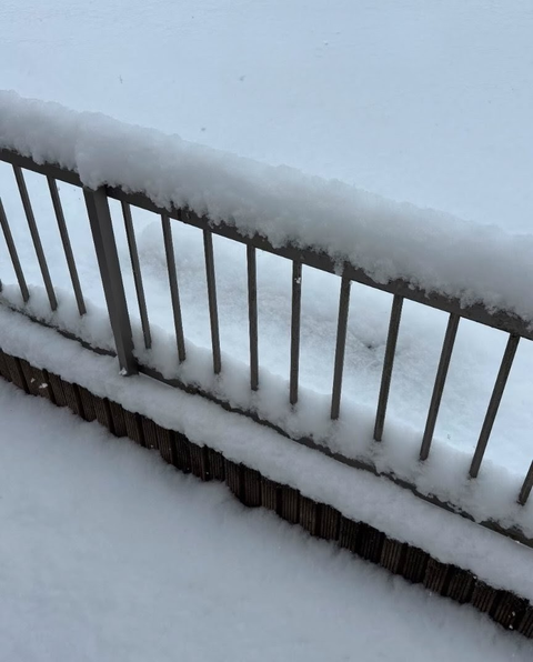 Screenshot_20260208-142051~2