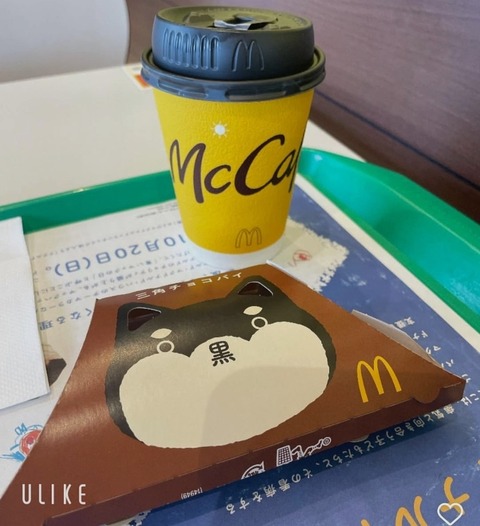 beauty_20251114162609