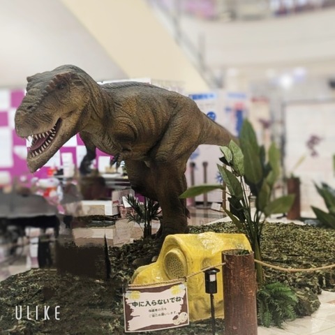 beauty_20250224161342