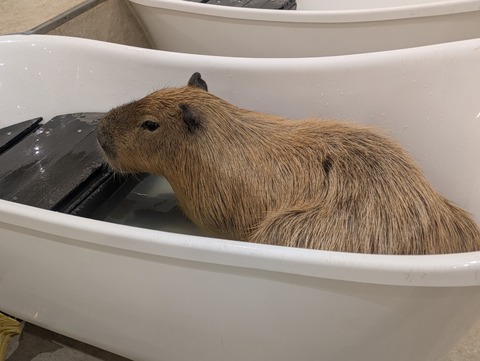 PXL_20250902_084144847