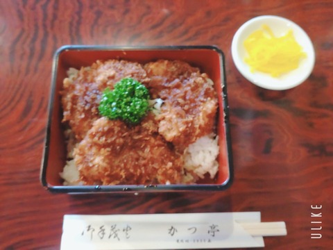 beauty_20240817174835