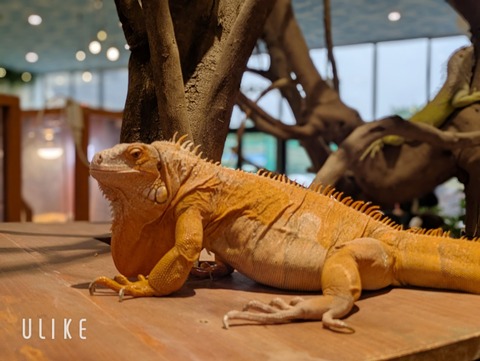 beauty_20250507131857