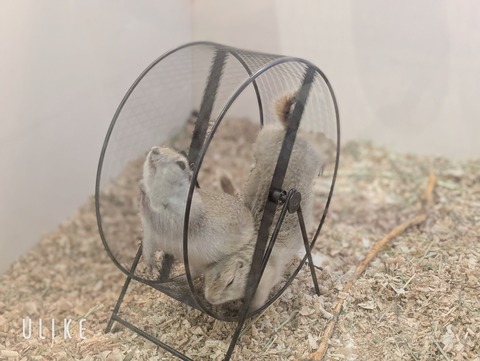 beauty_20250507131947