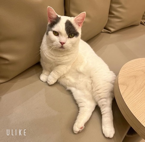 beauty_20251014154725