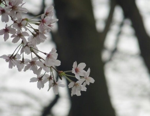 Screenshot_20260331-132948~2