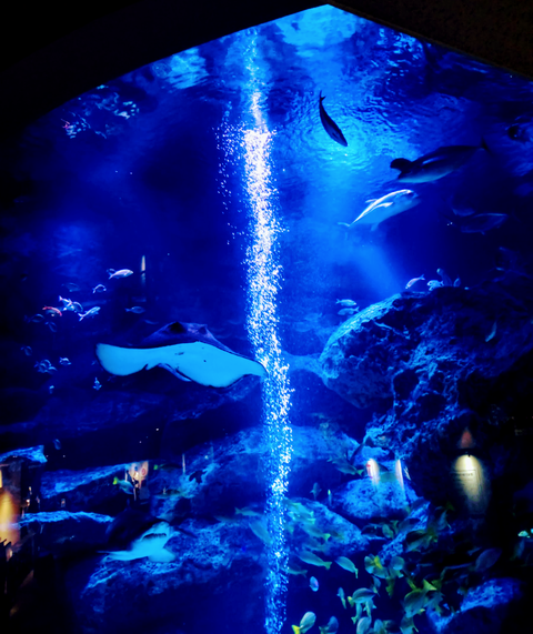 Screenshot_20250615-150757~2