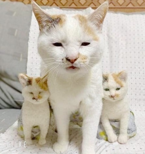 beauty_20250415181549