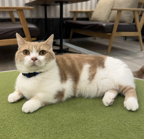 Screenshot_20250108-153903