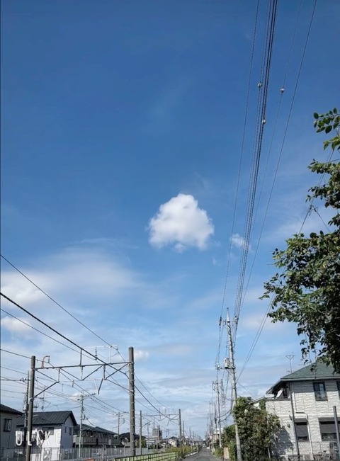 beauty_20250930140744