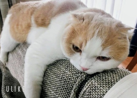 beauty_20250812161311