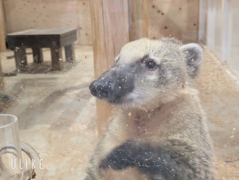 beauty_20250507131909