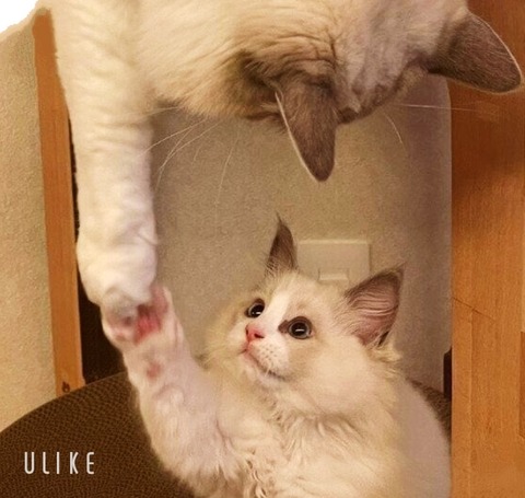 beauty_20250716172041