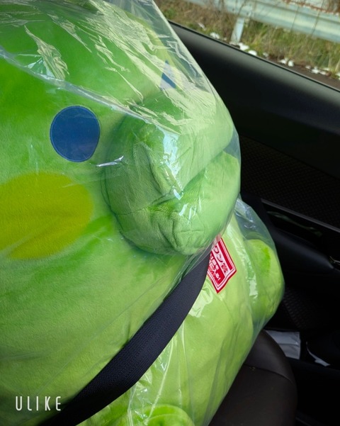 beauty_20250122145500