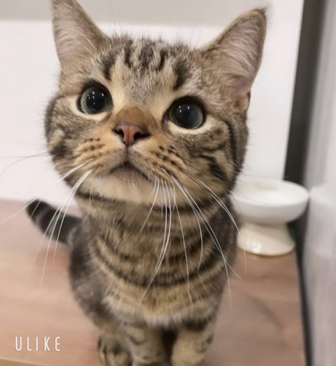 beauty_20250126164136