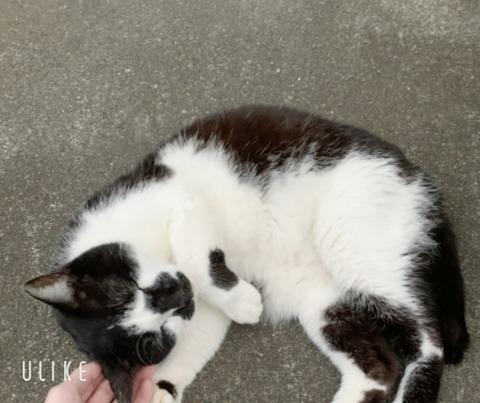 beauty_20250601165634