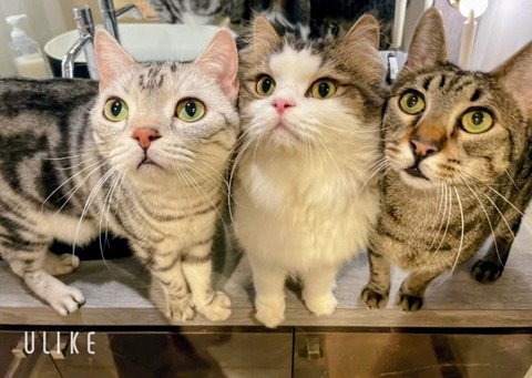 beauty_20251013144155