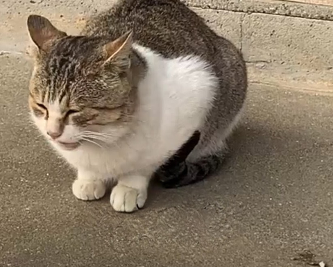 Screenshot_20260317-161100~2