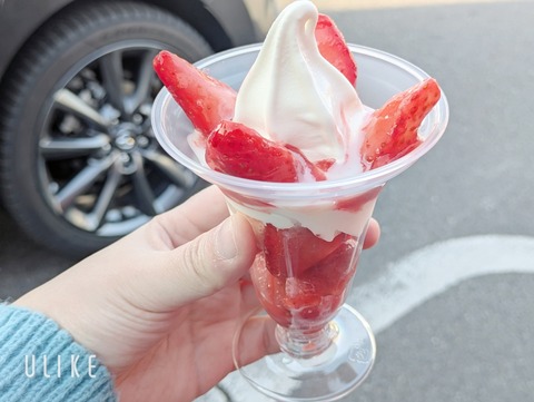 beauty_20260116152008