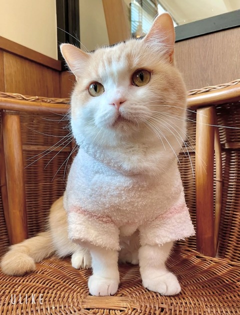 beauty_20250618172423